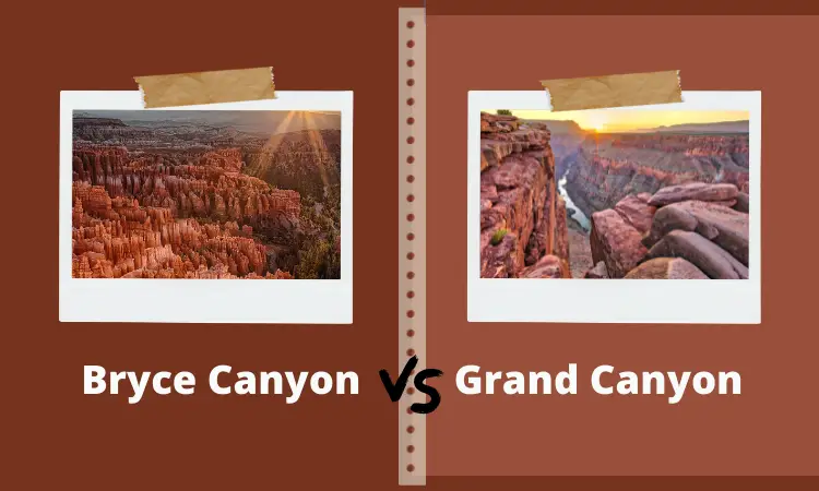 Bryce Canyon VS Grand Canyon