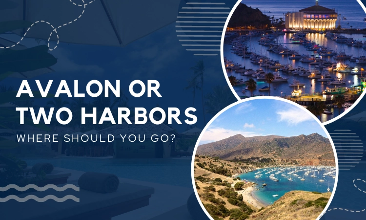 Avalon or Two Harbors