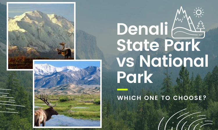 Denali State Park vs National Park