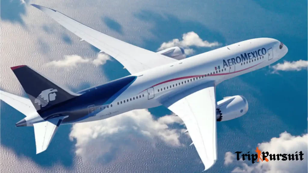 Aeromexico plane is shown in the picture while comparing it against Interjet airlines