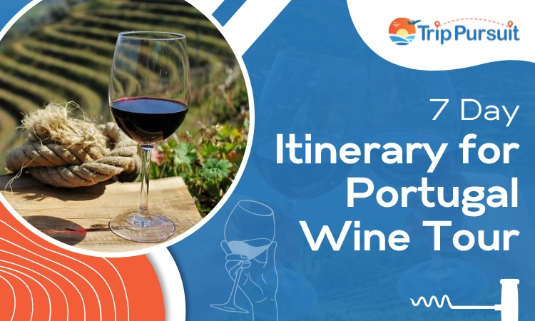 7 Day Itinerary for Portugal Wine Tour