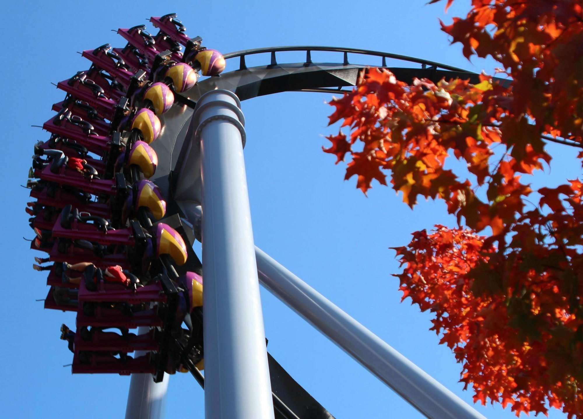 Dutch Wonderland vs Hershey Park: Where Should You Visit? - Trip Pursuit