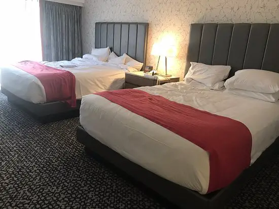 Two twin beds in a hotel room