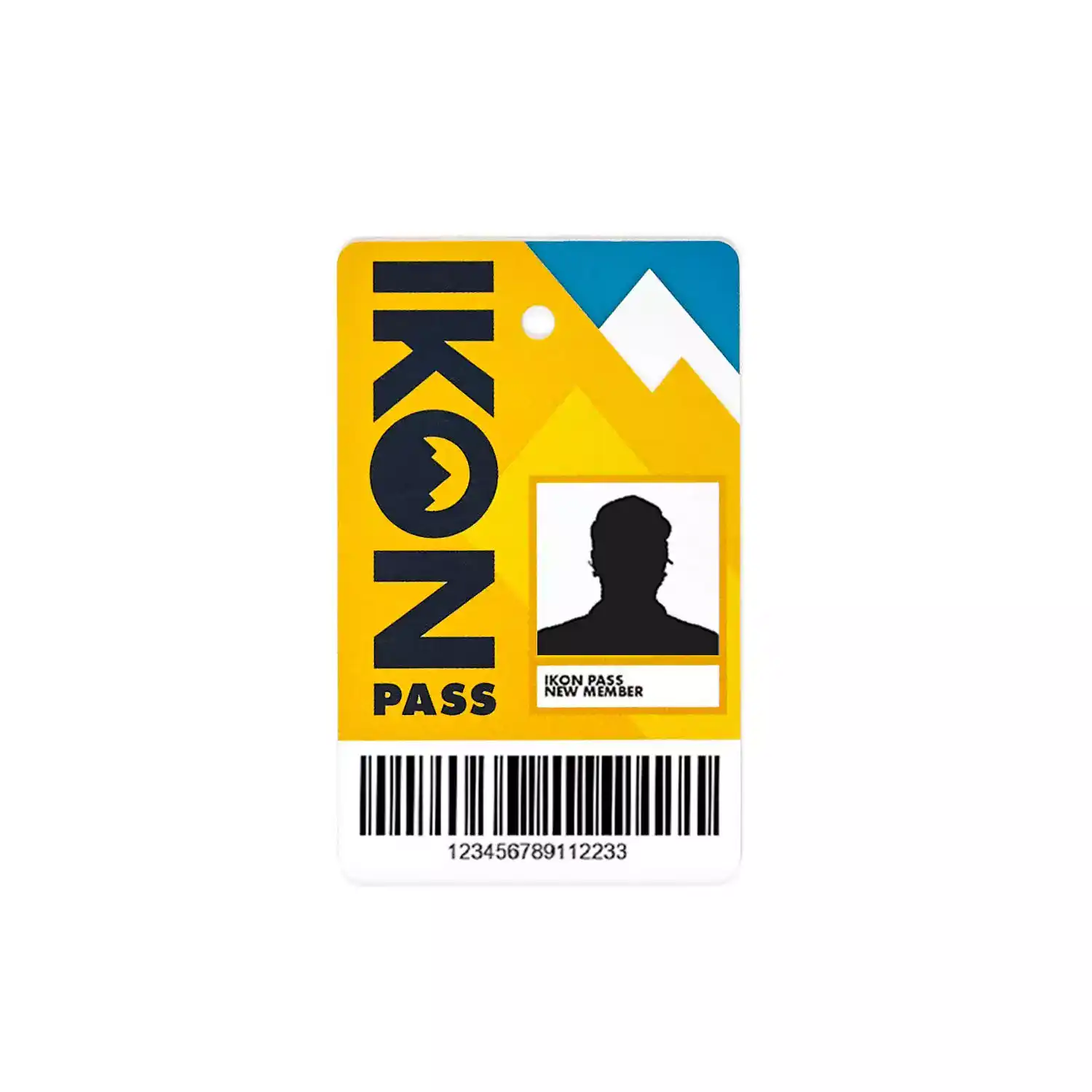 Picture is showing the Ikon pass