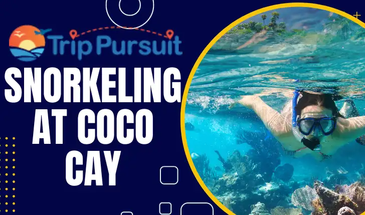 The Ultimate Guide to Snorkeling at Coco Cay! 