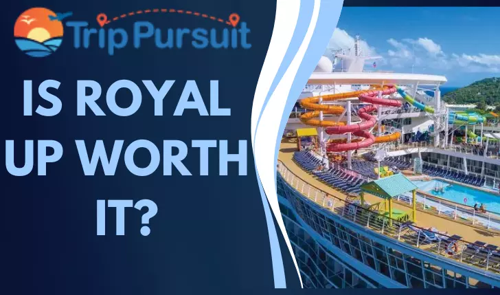 Is Royal Up Worth It? Bid Like A Pro!