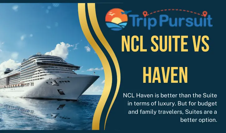 NCL Suite Vs Haven: Which One Should You Go For?