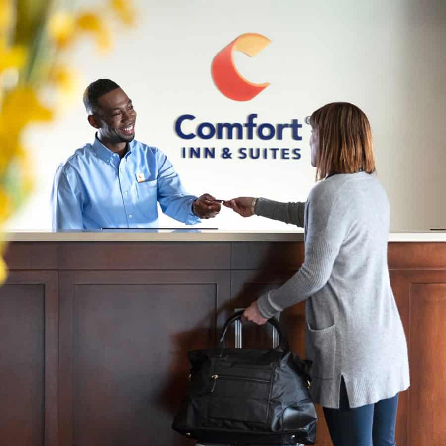 Comfort Inn vs Quality Inn: Which is the One for You? - Trip Pursuit