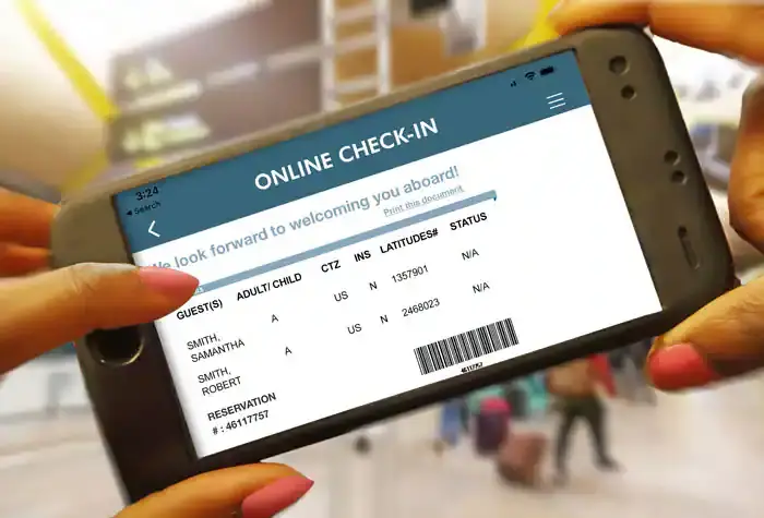 online check-in screen on mobile is shown in the explaining of NCL E-Docs Are Not Ready