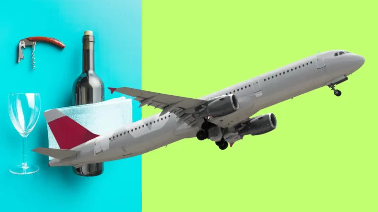 Can You Bring Corkscrew On A Plane? A Guide For Wine Lovers