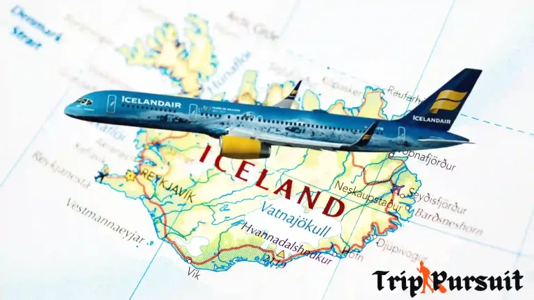 Can You Bring Food On Icelandair? Getting The Facts
