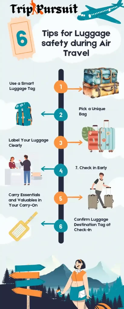 infographics for safety of luggage during air travel