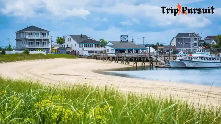 The Hamptons VS Cape Cod: Which Place is Better to Visit? 