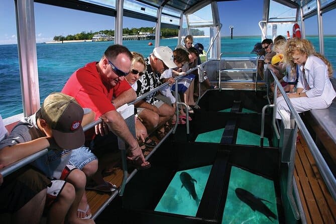 View of a Glass-Bottom Boat Tour in Bimini, Bahamas, showcasing crystal-clear waters and vibrant marine life visible through the boat's glass floor, a unique experience