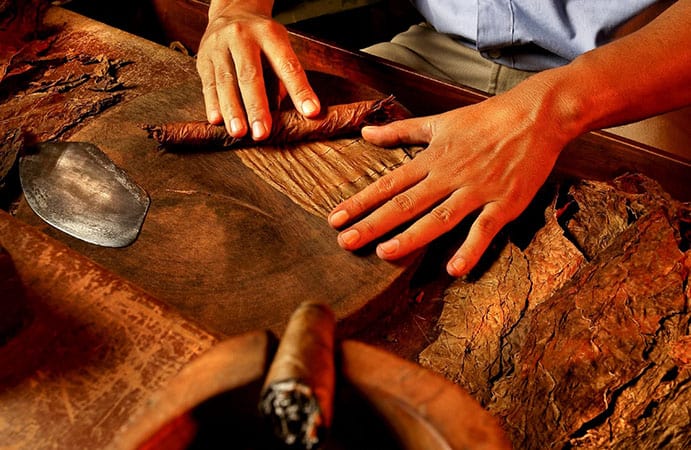 A person rolling cigar