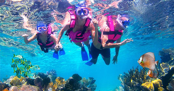 Underwater view of three snorkelers exploring vibrant coral reefs and marine life during a Three Reef Snorkeling by Boat excursion, a popular activity on a Scarlet Lady shore excursion